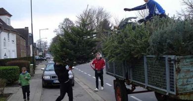 Weihnachtsbaumsammlung