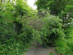 Baum blockierte Radweg