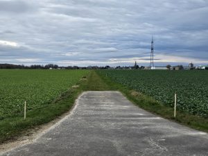 Start erster Arbeiten an neuer Hochspannungsleitung