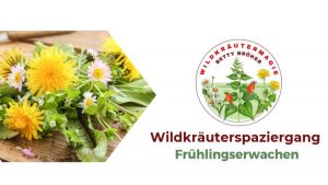 Wildkräuterspaziergänge in Blatzheim