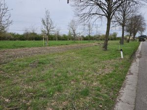 Zwei weitere Obstbäume gepflanzt