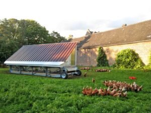 Mit Kindern zum Bio-Bauernhof