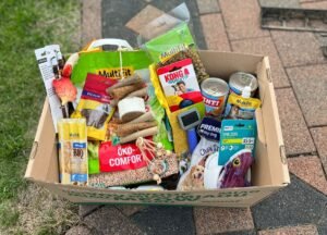 Kinder sammelten Spenden für das Tierheim